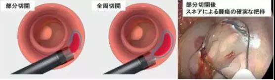 微信图片_20191025102944.jpg