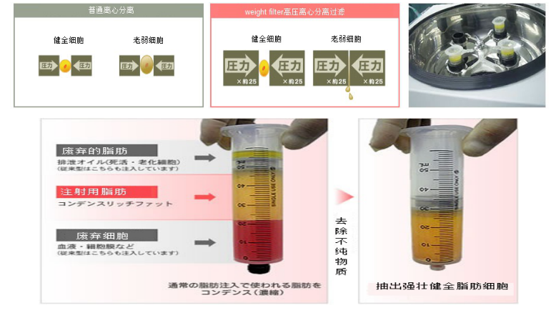 微信图片_20190724150407.png