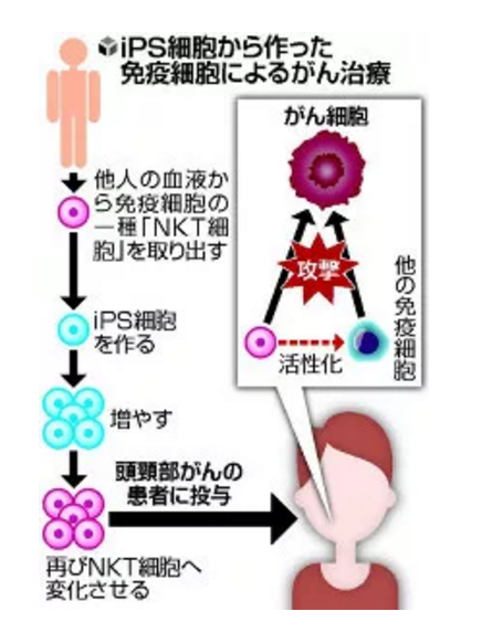 我去额.jpg