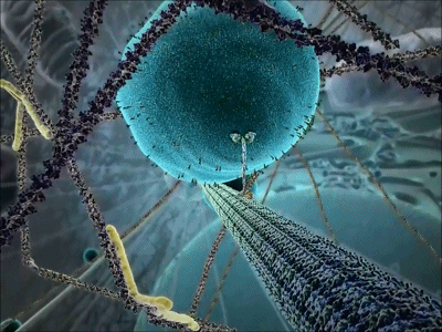 v2-f5ab7254f4f91cfe7f6b96398b27d342_hd.gif