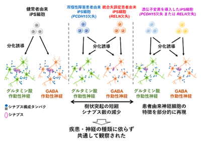 28_04 (1).png